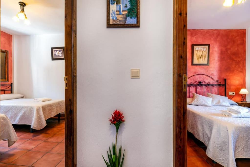 Casa Jose Capileira - Alpujarra 아파트 외부 사진